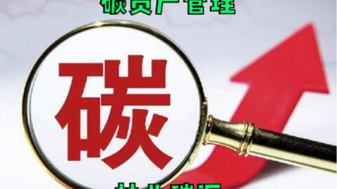 碳資產管理入門 到底好做嗎？買碳、賣碳、投資碳究竟怎么玩？
